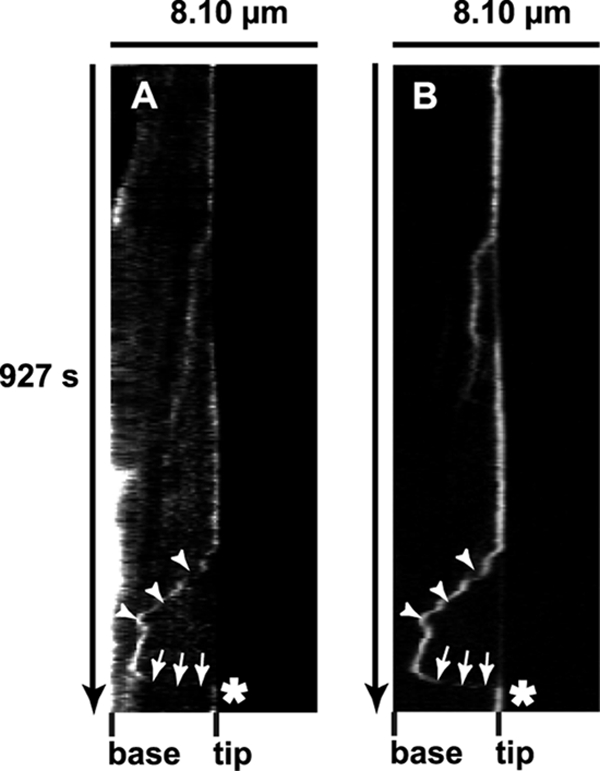 FIG. 12.