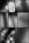 FIG. 6.