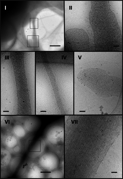 FIG. 6.