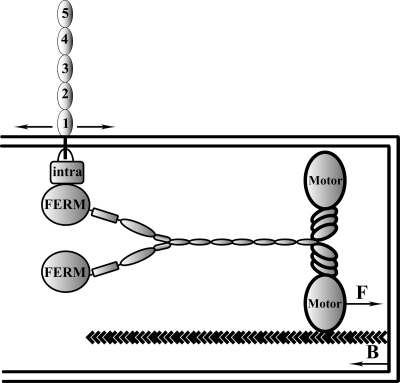 FIG. 15.