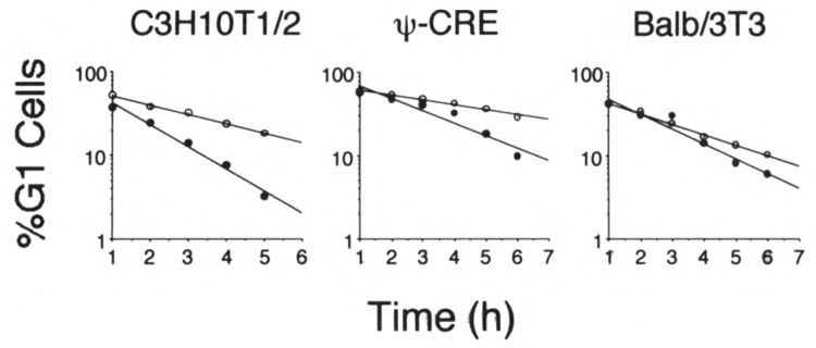 FIG. 6