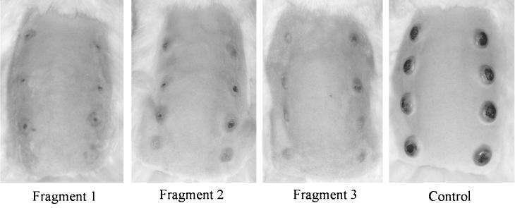 FIG. 6.