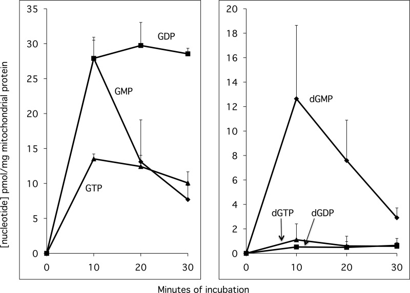 FIGURE 7.