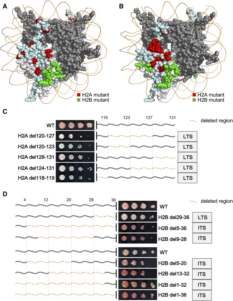 Figure 4