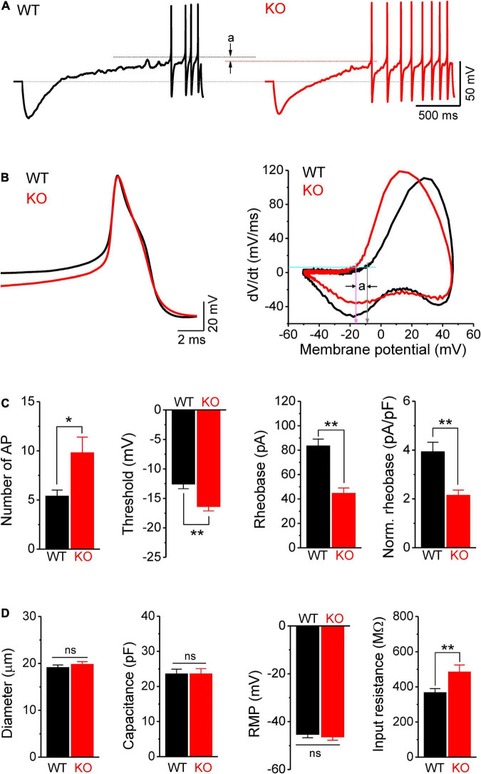 FIGURE 3