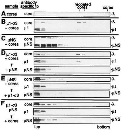 FIG. 7