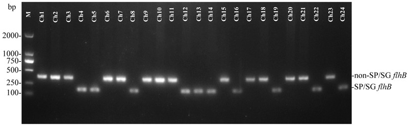 FIGURE 4