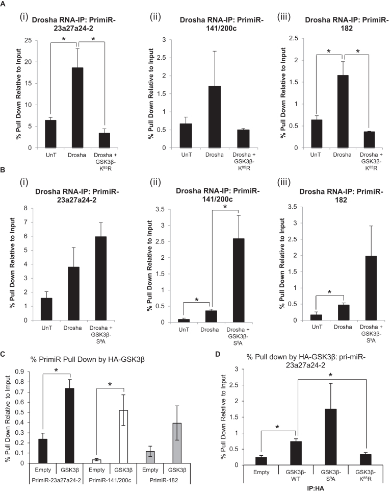 A novel role for GSK3β as a modulator of Drosha microprocessor activity ...