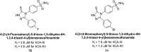 Fig. 24