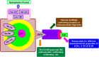 Fig. 154