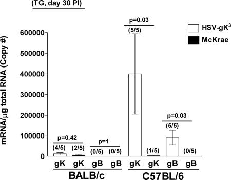 FIG. 8.