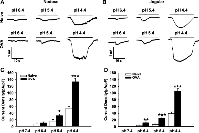 Fig. 7.