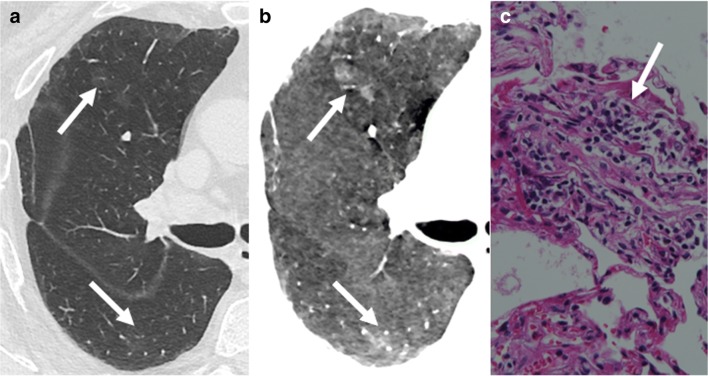 Fig. 8
