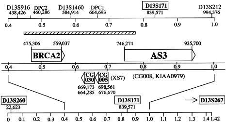 Figure  1