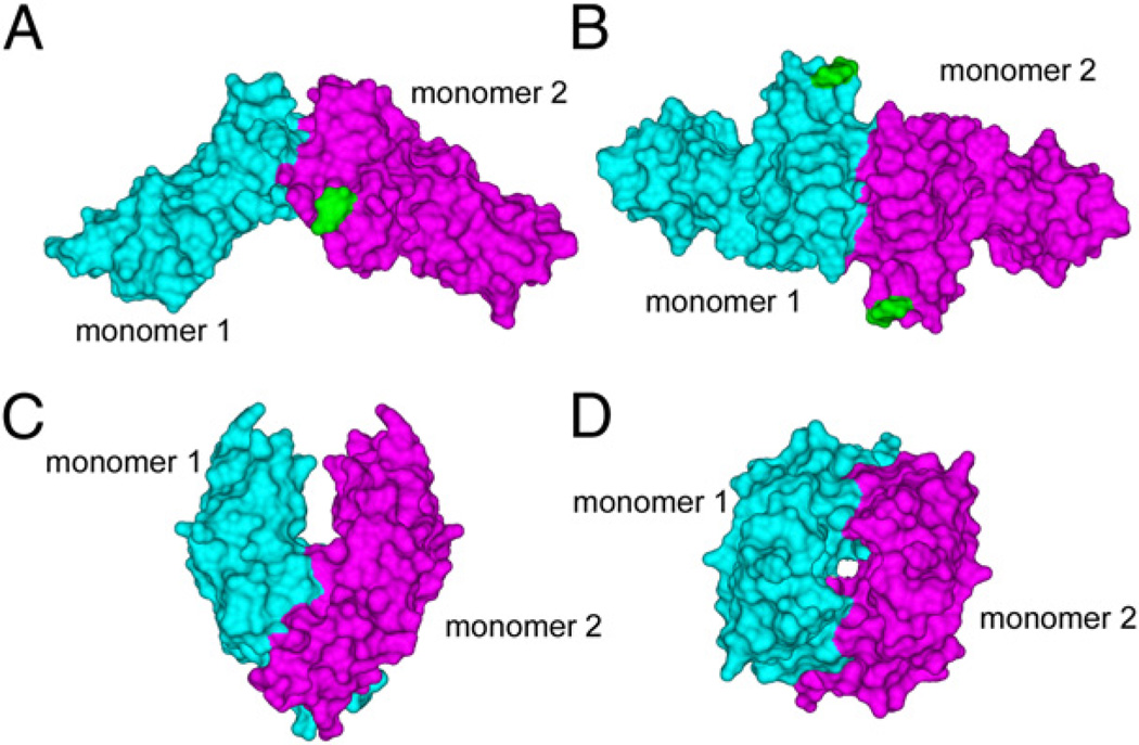 FIGURE 1