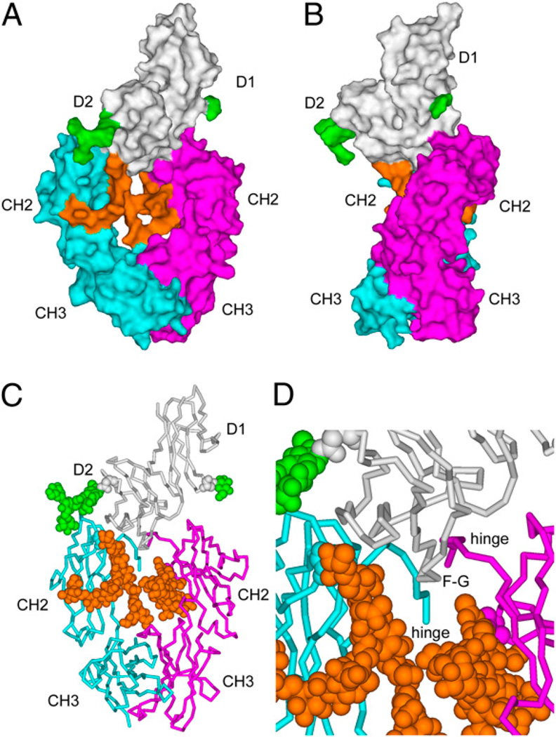 FIGURE 2