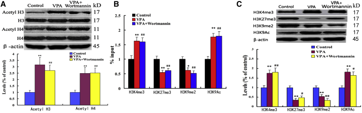 Figure 5