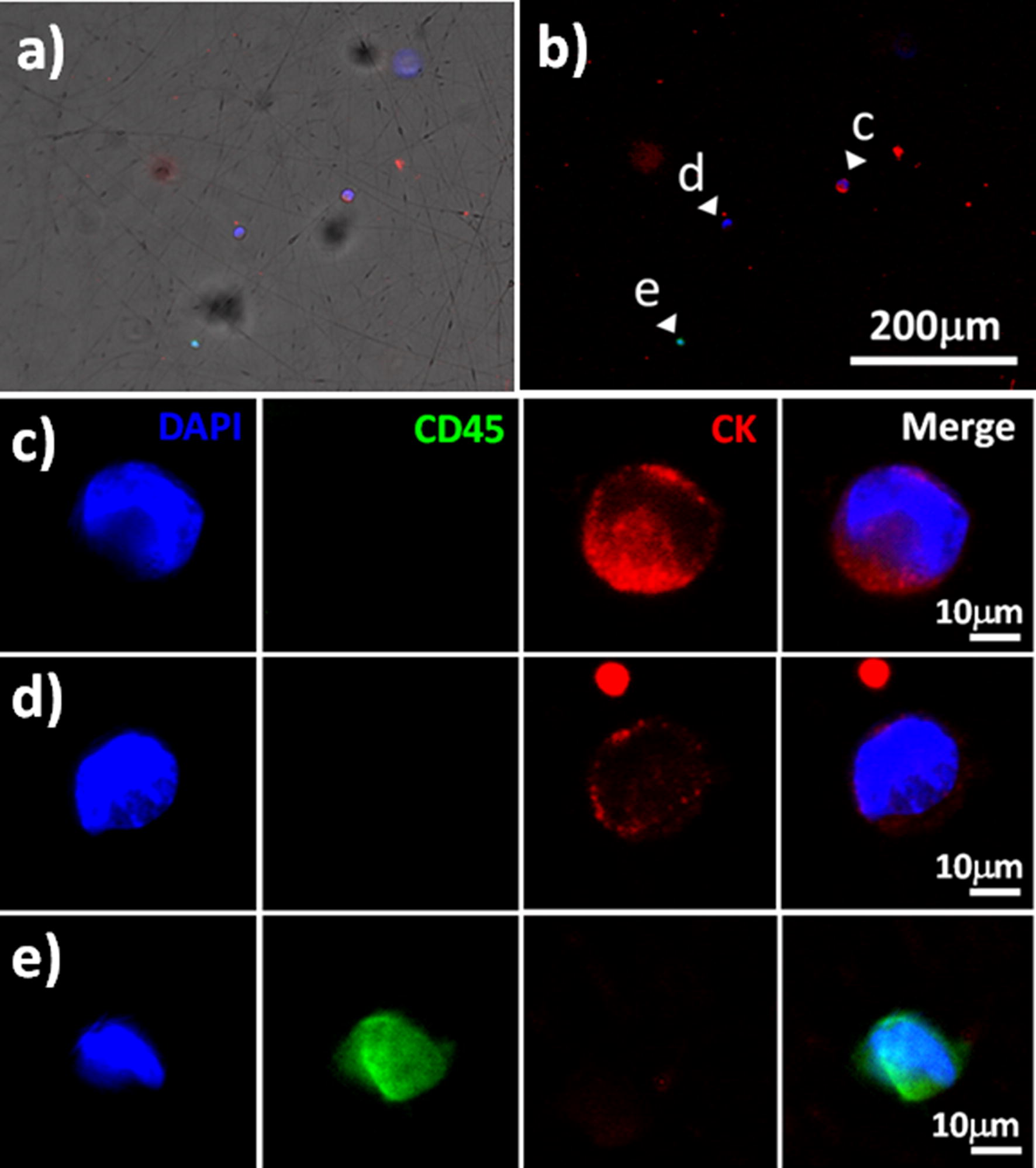 Fig. 7