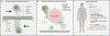 Fig. 4 |