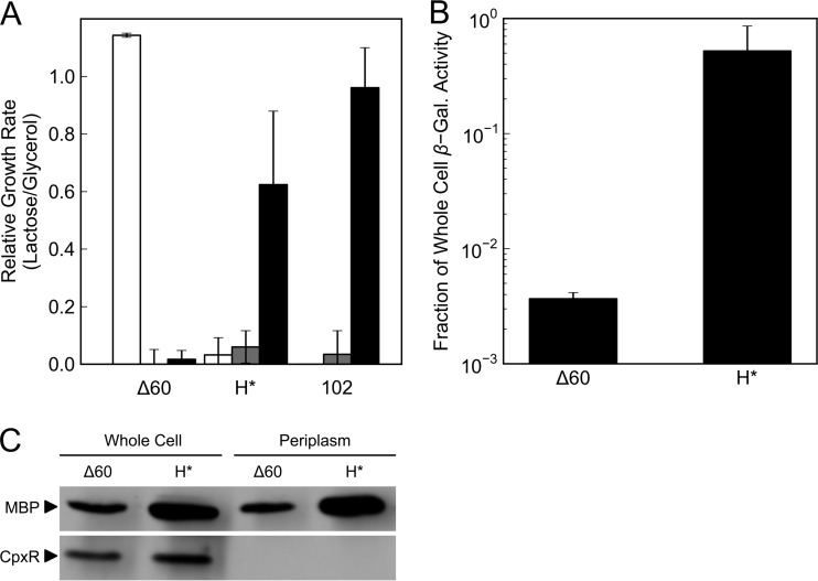 FIG 3