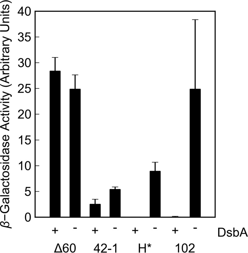 FIG 2