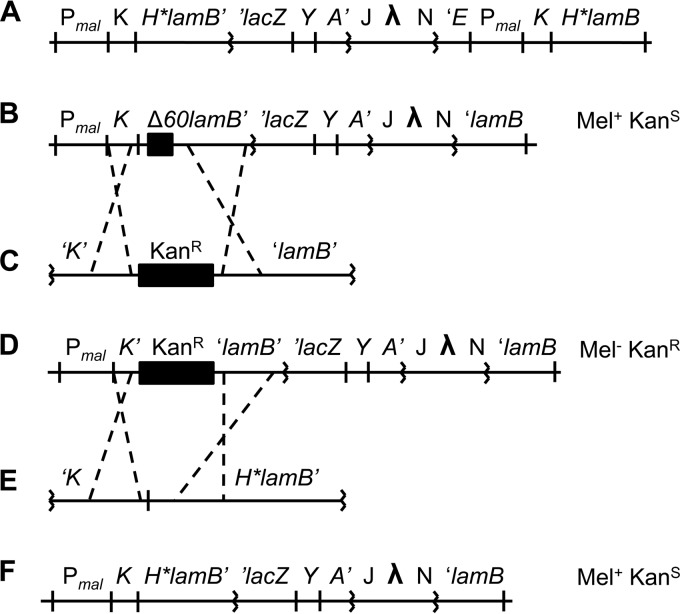 FIG 1