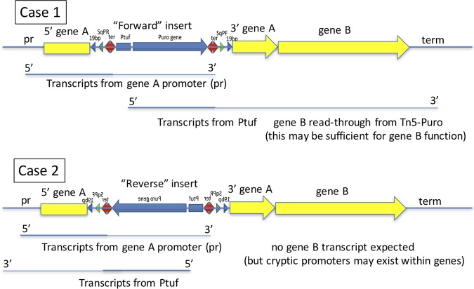 FIG 6