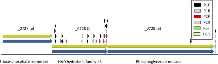 FIG 3