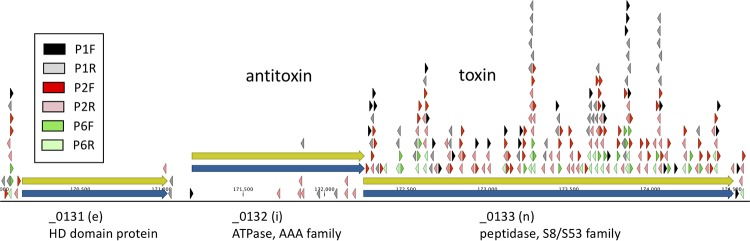 FIG 4