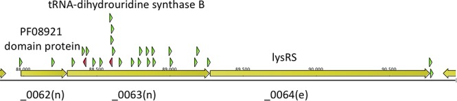 FIG 2