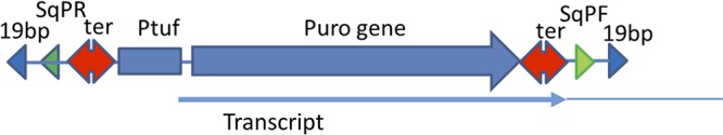 FIG 1