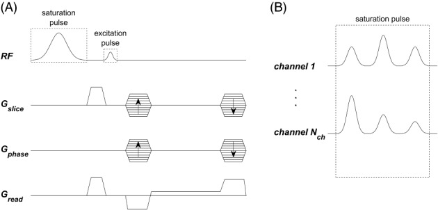 MRM-29199-FIG-0001-b