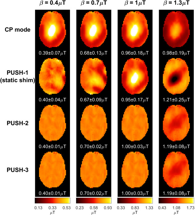 MRM-29199-FIG-0003-c