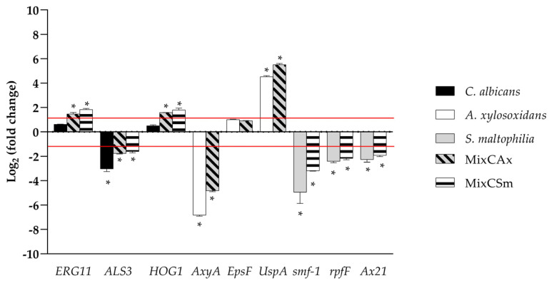 Figure 6