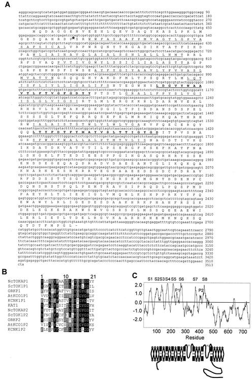 FIG. 1.