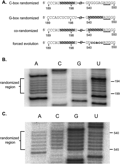 FIGURE 2.