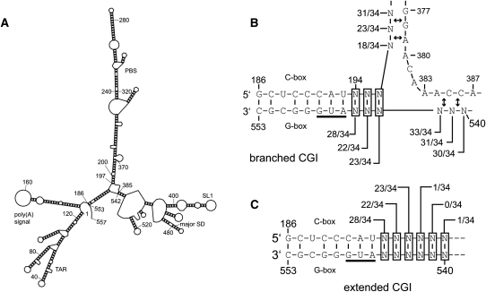 FIGURE 3.