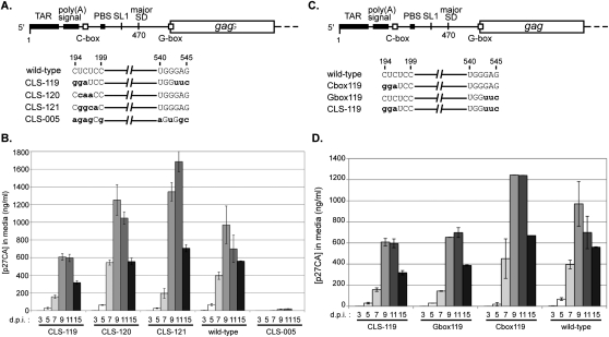 FIGURE 4.