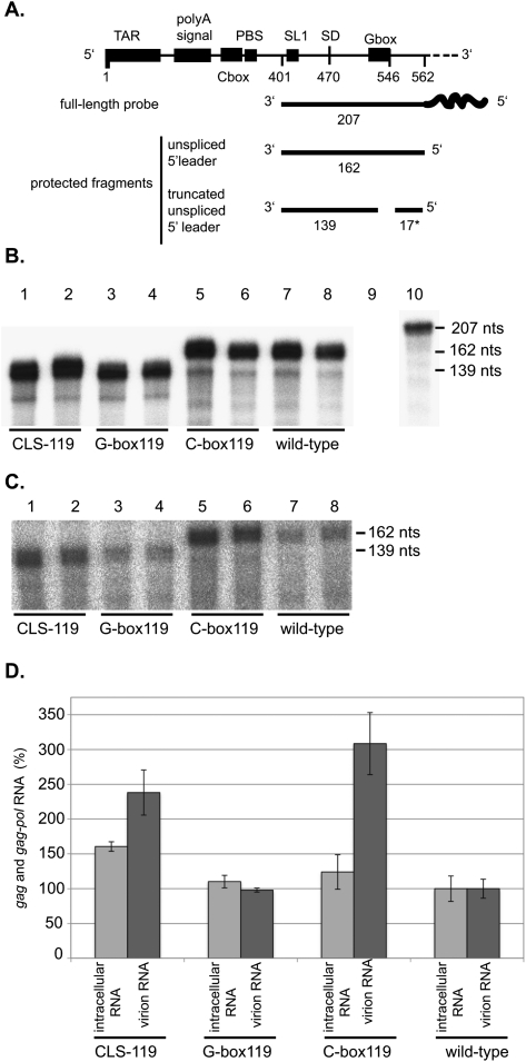 FIGURE 5.