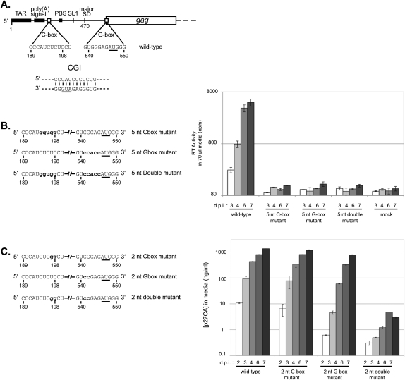 FIGURE 1.