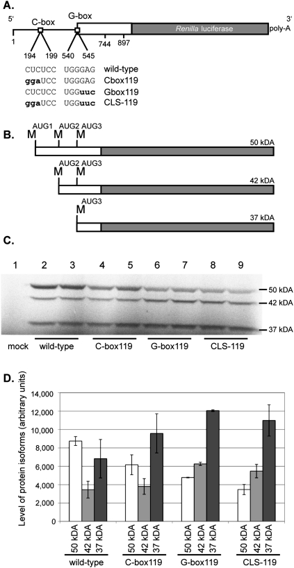 FIGURE 7.