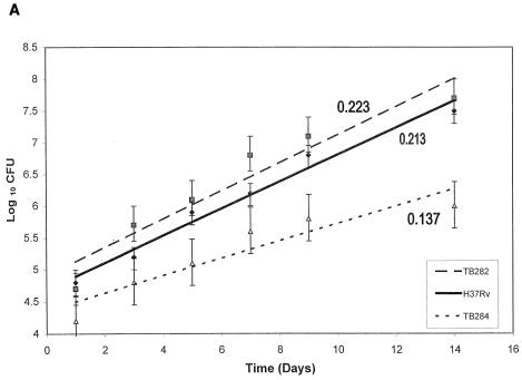 FIG. 2.