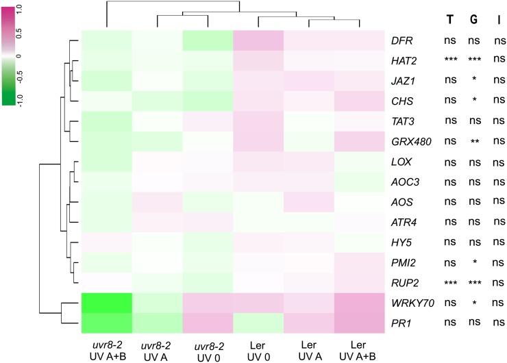 Figure 6.