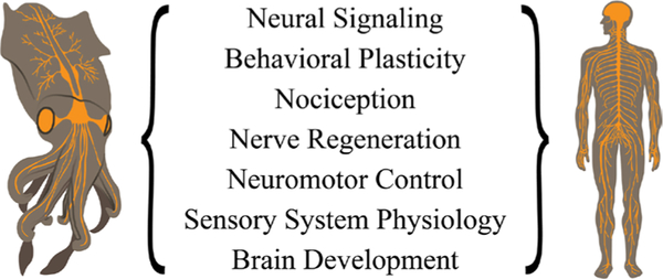 Figure 14.