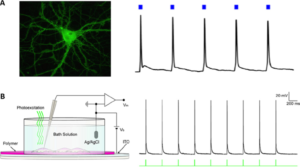 Figure 11.