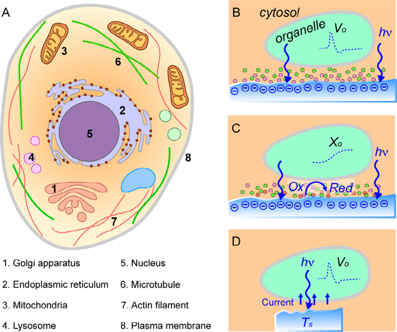 Figure 18.