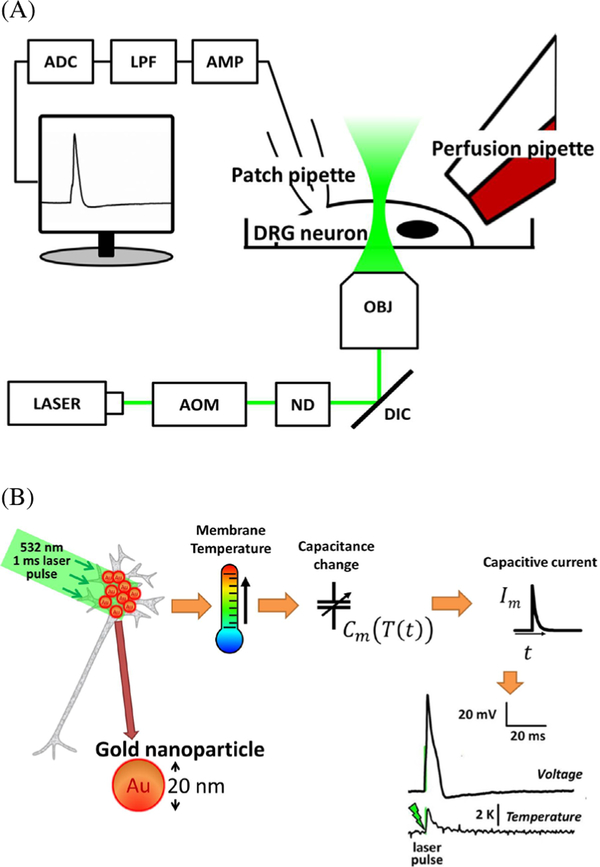 Figure 5.