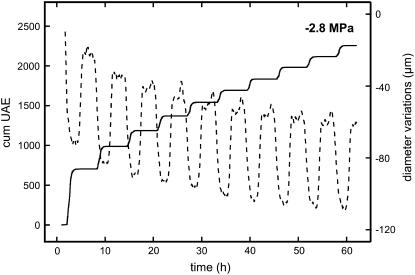 Figure 5.