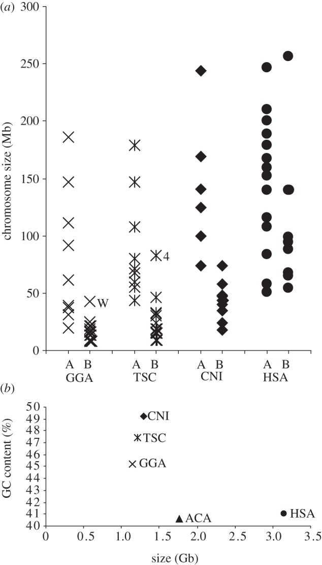 Figure 2.