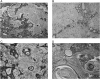 Figure 4:
